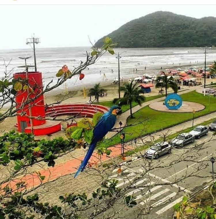 Suites Proximo Ao Rio Jaguareguava Em Bertioga Buitenkant foto