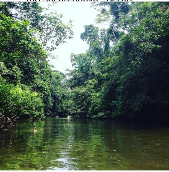 Suites Proximo Ao Rio Jaguareguava Em Bertioga Buitenkant foto