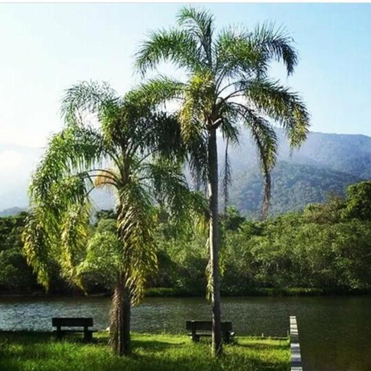 Suites Proximo Ao Rio Jaguareguava Em Bertioga Buitenkant foto